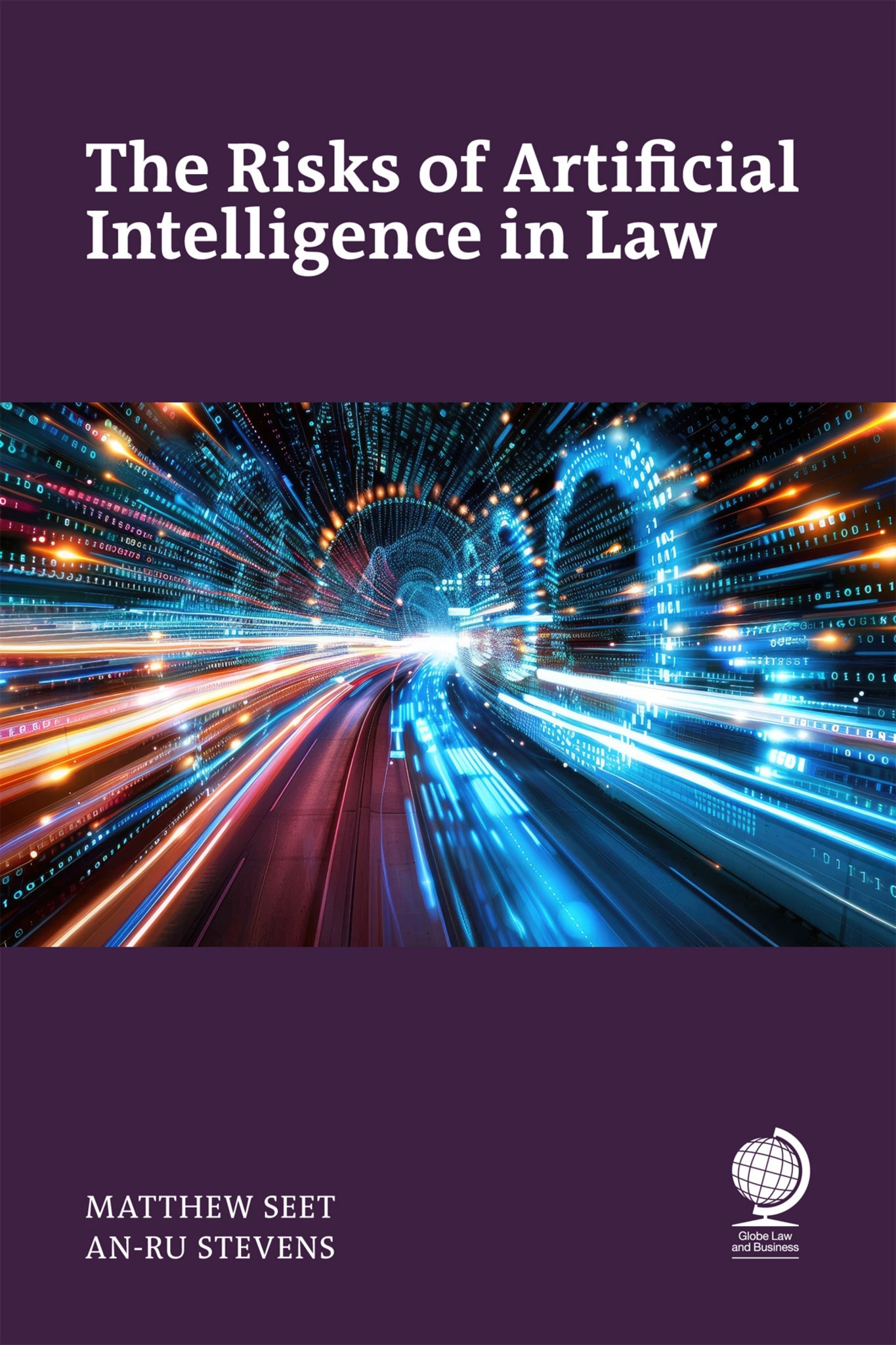 Cover image for The Risks of Artificial Intelligence in Law ISBN 9781837231591